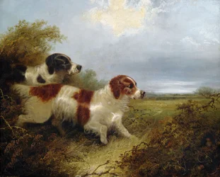 Due Terrier